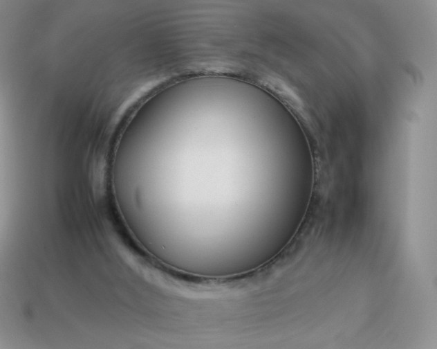 X0000114140012200910221535