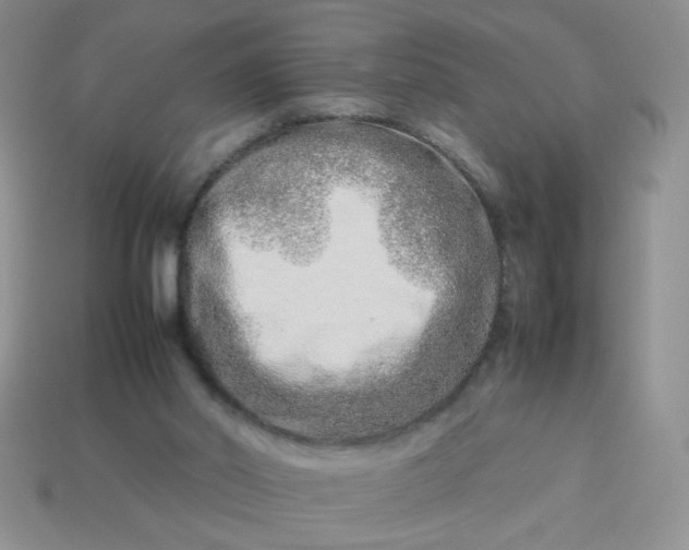 X0000114140014200910221535