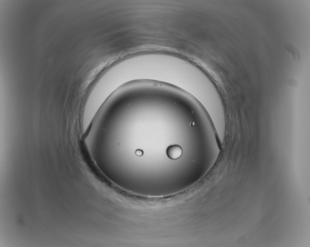 X0000114140015200910221535