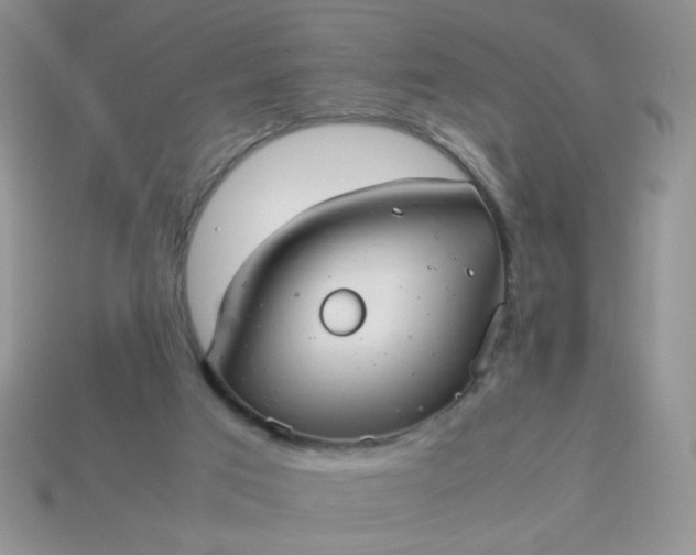 X0000114140017200910221535