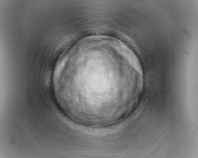 X0000114140018200910221535