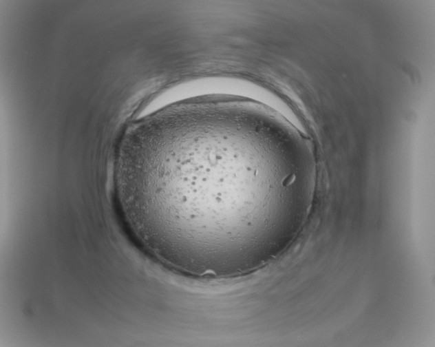 X0000114140019200910221535