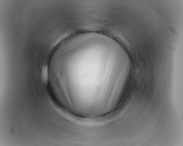 X0000114140020200910221535