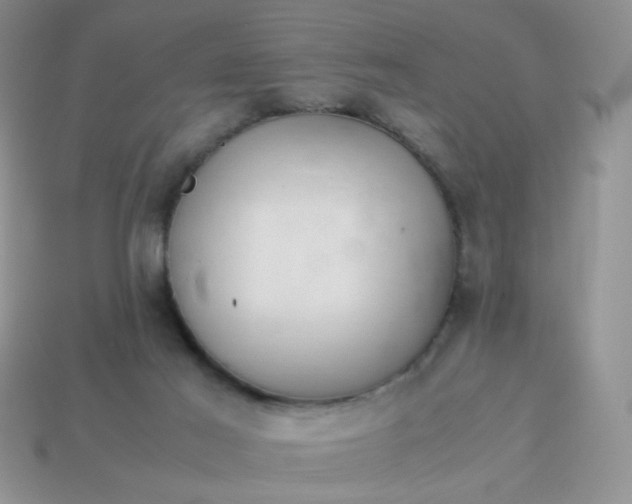 X0000114140021200910221535