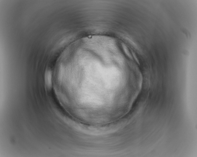 X0000114140022200910221535