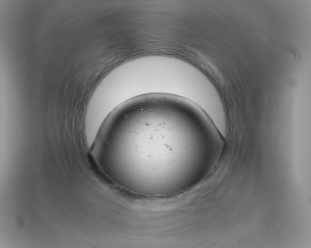 X0000114140025200910221535