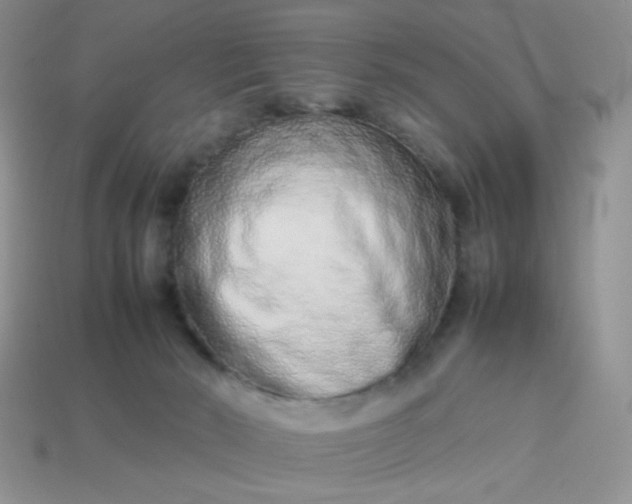 X0000114140030200910221535