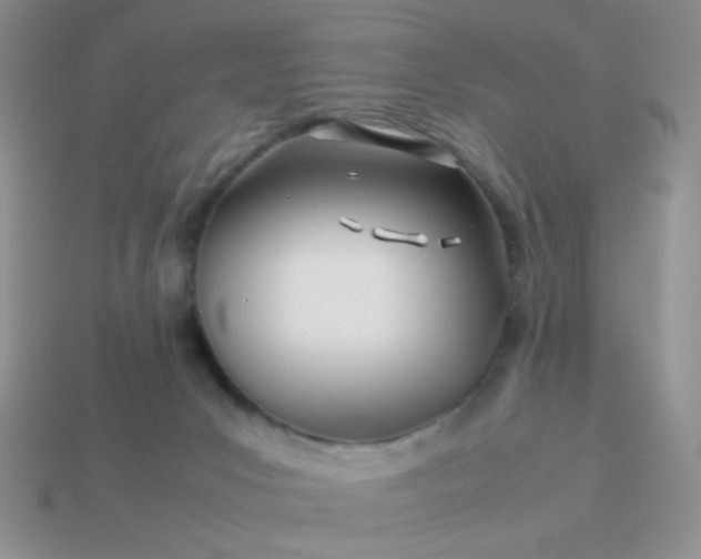 X0000114140031200910221535