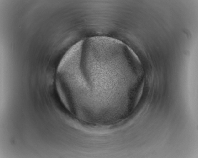 X0000114140032200910221535