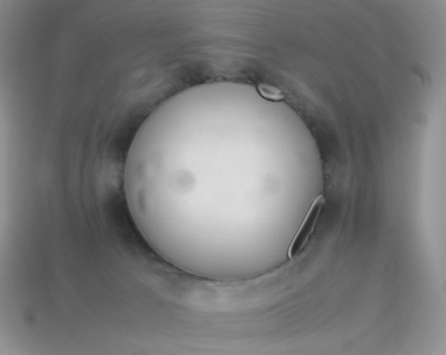 X0000114140033200910221535