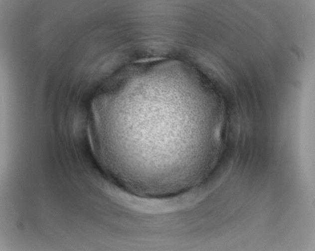 X0000114140034200910221535