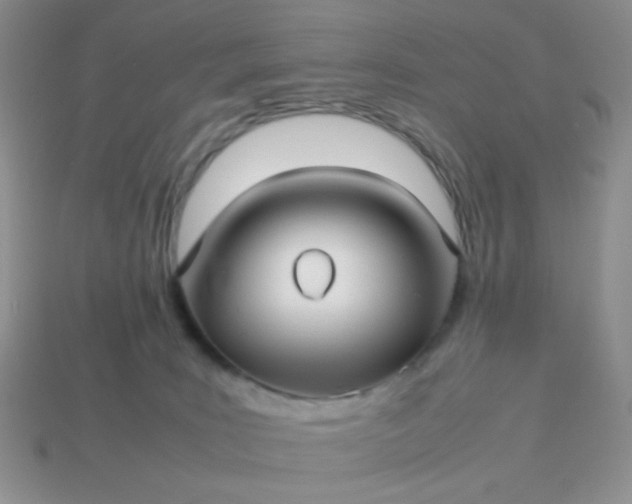 X0000114140035200910221534