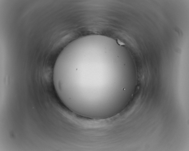 X0000114140036200910221534