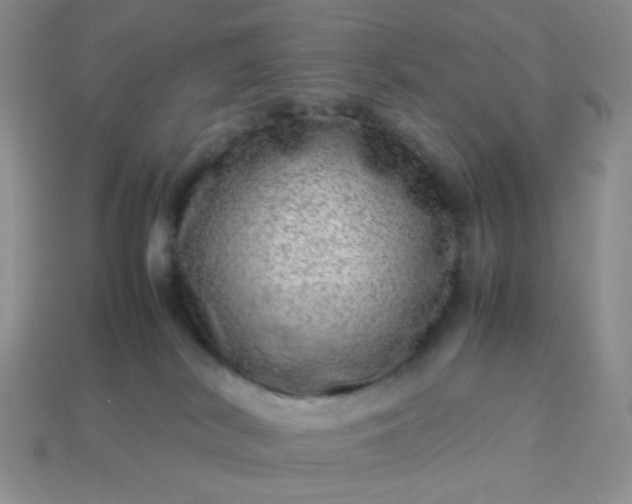 X0000114140038200910221534