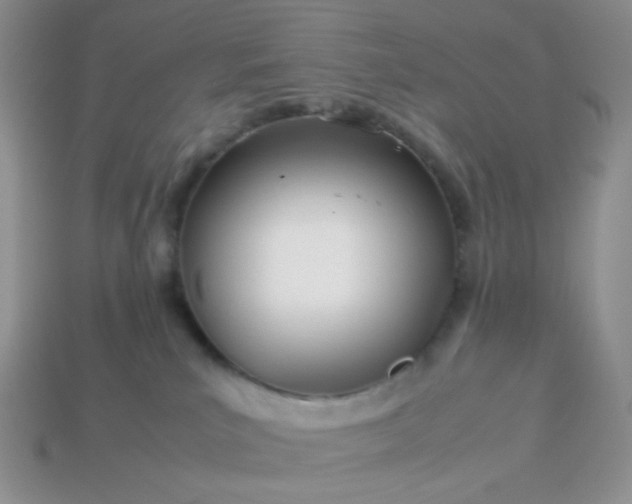 X0000114140039200910221534