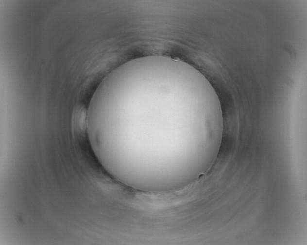 X0000114140041200910221534