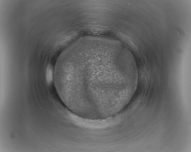 X0000114140042200910221534