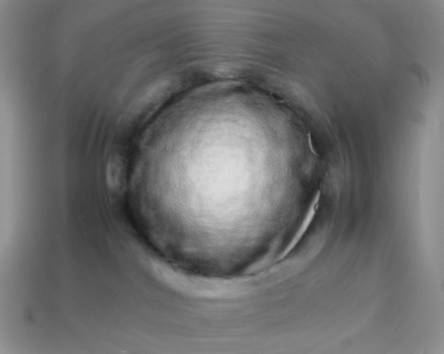 X0000114140044200910221534