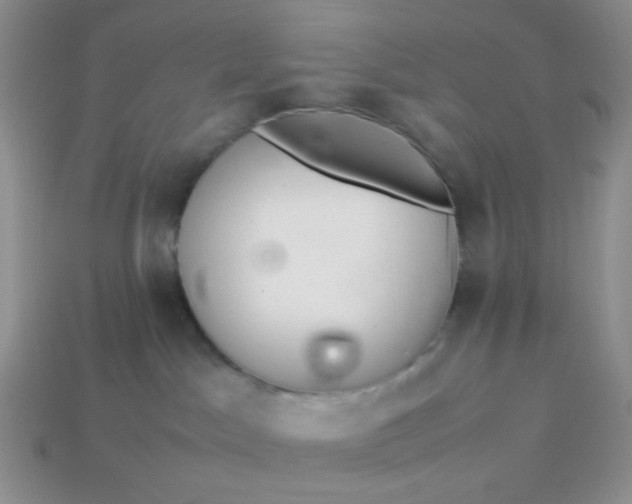 X0000114140045200910221534