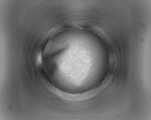 X0000114140046200910221534