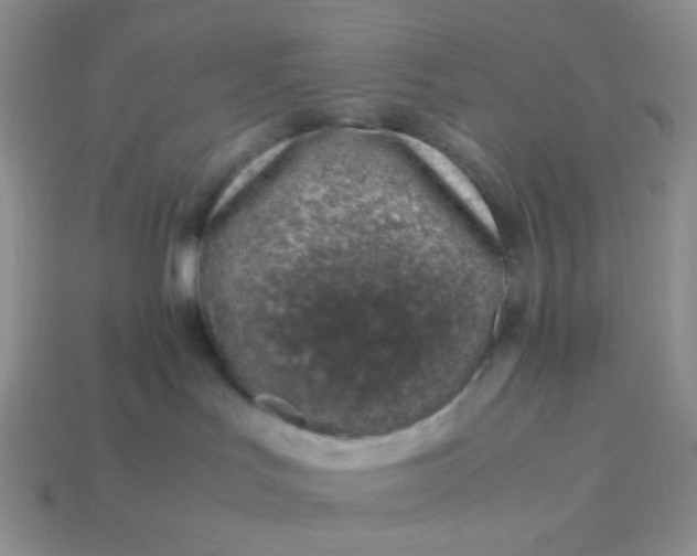 X0000114140047200910221534