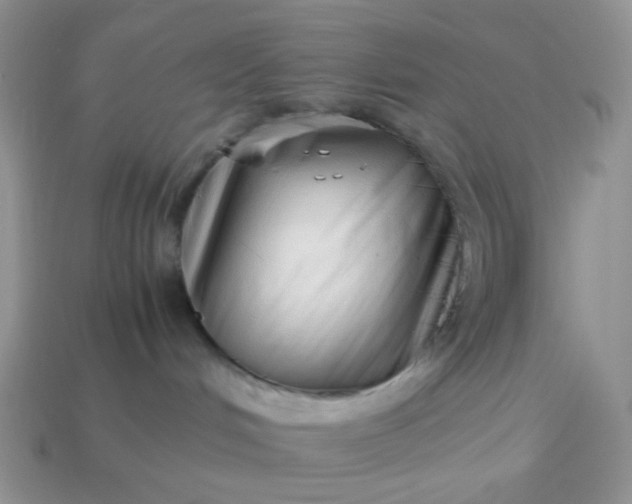 X0000114140048200910221534