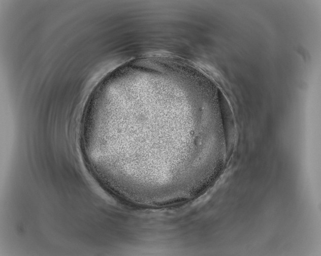 X0000114140049200910221534