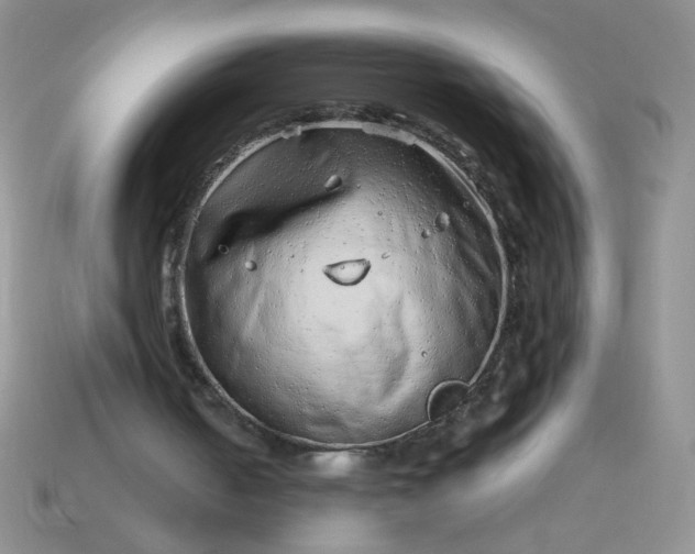 X0000114140050200910221534