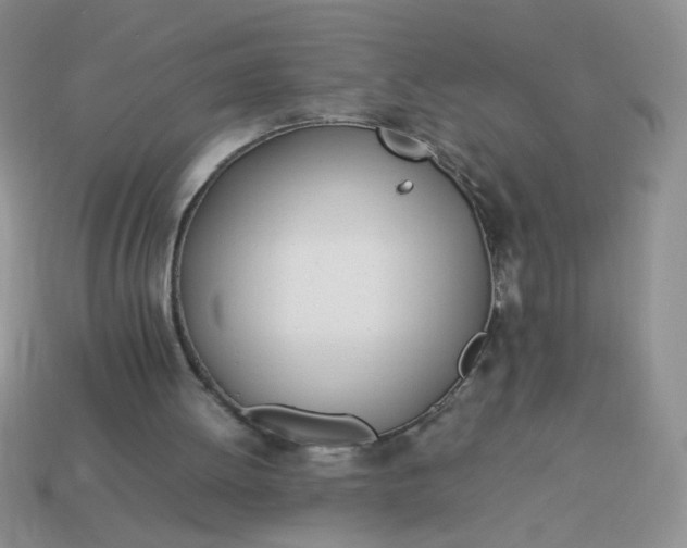 X0000114140052200910221534