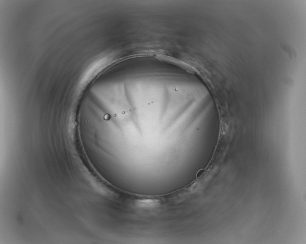 X0000114140053200910221534