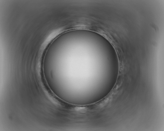 X0000114140055200910221534