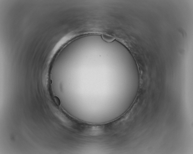 X0000114140056200910221534