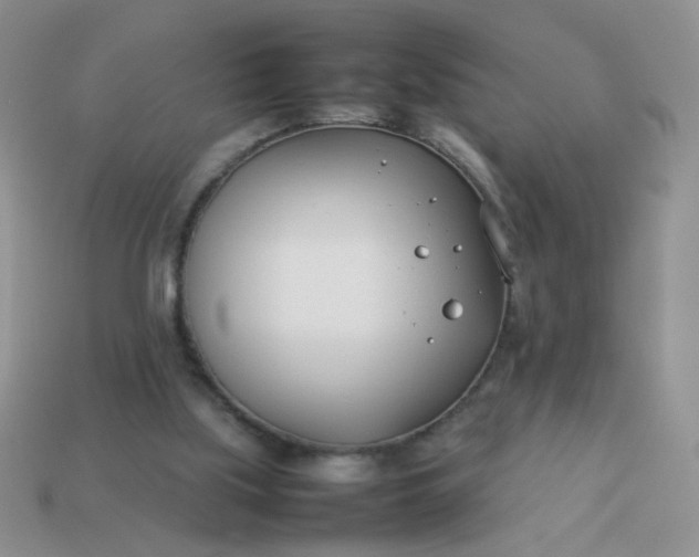 X0000114140059200910221534