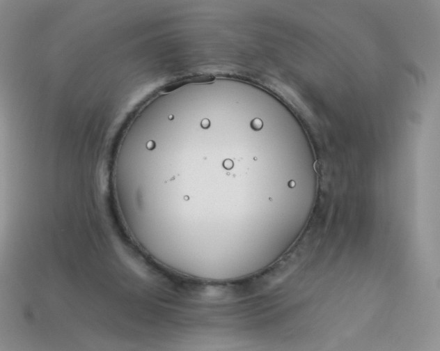 X0000114140060200910221534