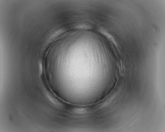 X0000114140061200910221534