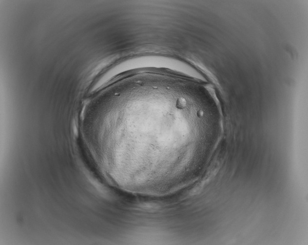 X0000114140062200910221534