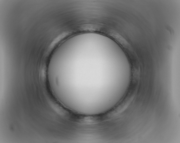 X0000114140064200910221534