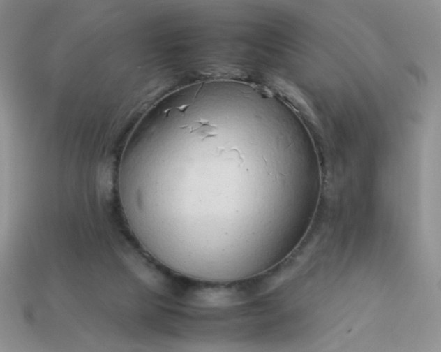 X0000114140065200910221534