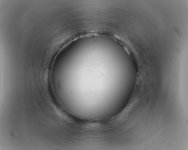 X0000114140066200910221534