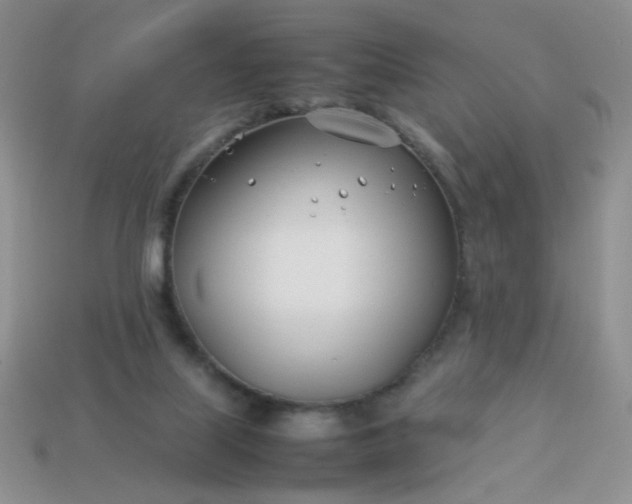 X0000114140067200910221534