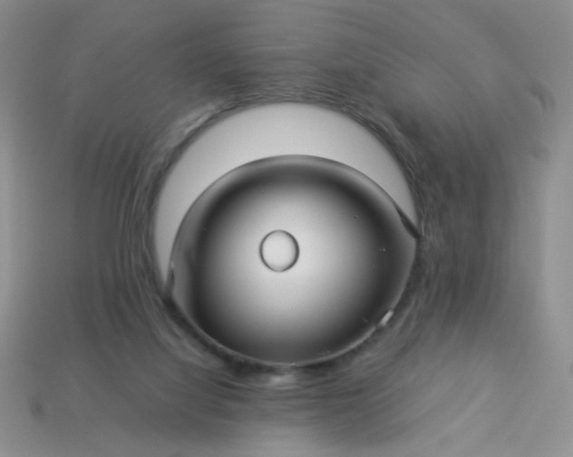 X0000114140068200910221534