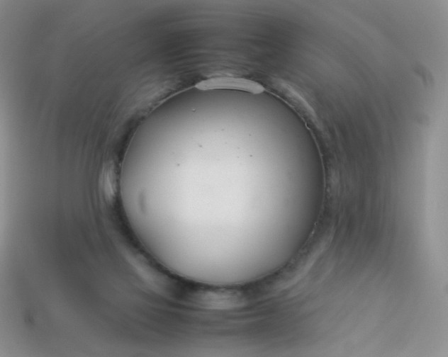 X0000114140069200910221534