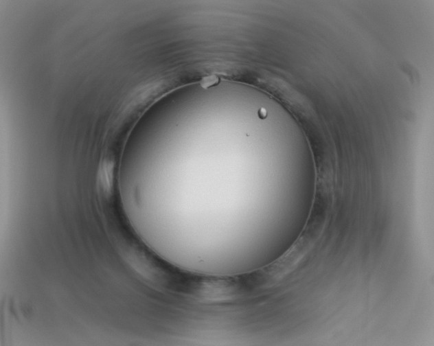 X0000114140070200910221534