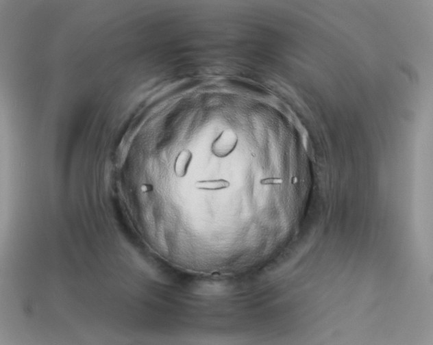 X0000114140071200910221534