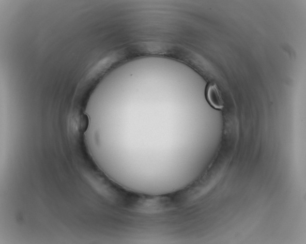 X0000114140072200910221534