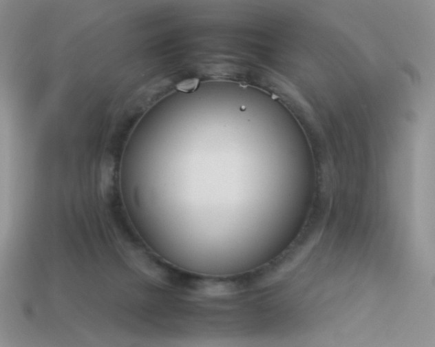 X0000114140073200910221534