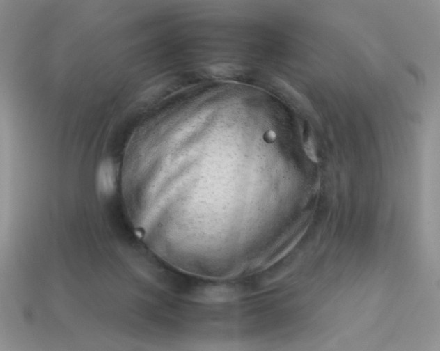 X0000114140075200910221534