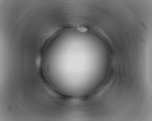 X0000114140076200910221534