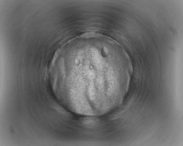 X0000114140077200910221534