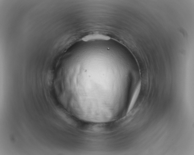 X0000114140078200910221534